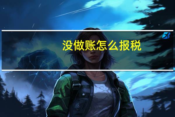 没做账怎么报税
