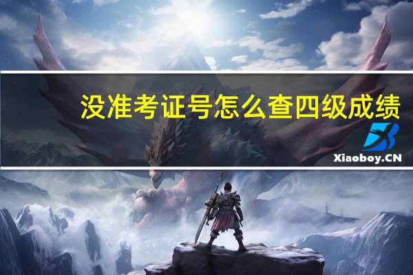 没准考证号怎么查四级成绩