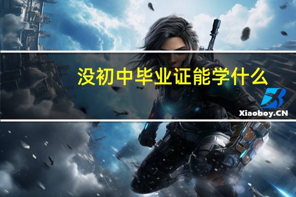 没初中毕业证能学什么