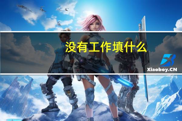 没有工作填什么