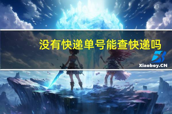 没有快递单号能查快递吗