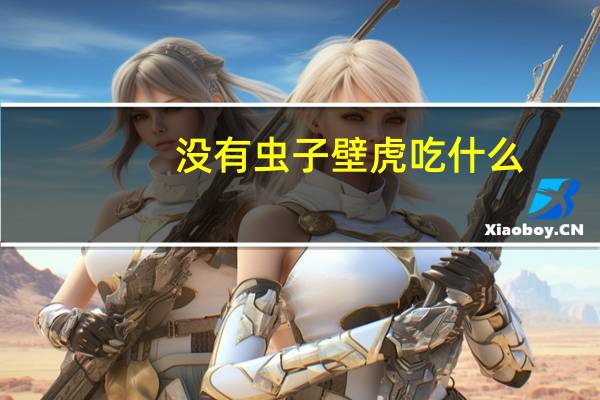 没有虫子壁虎吃什么