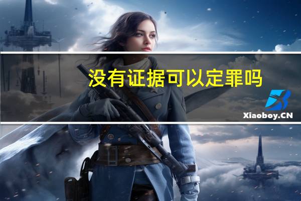 没有证据可以定罪吗