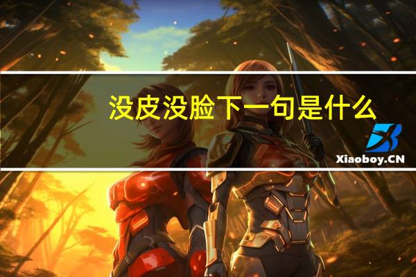 没皮没脸下一句是什么