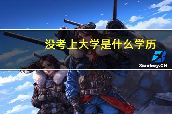 没考上大学是什么学历