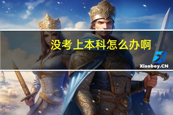 没考上本科怎么办啊
