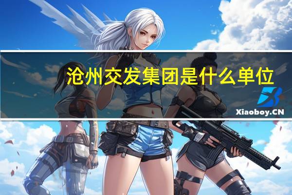 沧州交发集团是什么单位