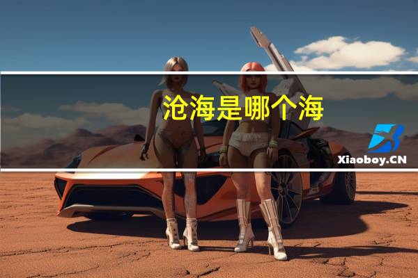 沧海是哪个海