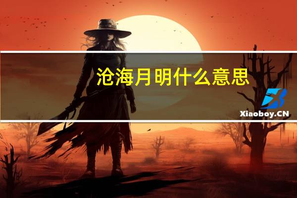 沧海月明什么意思