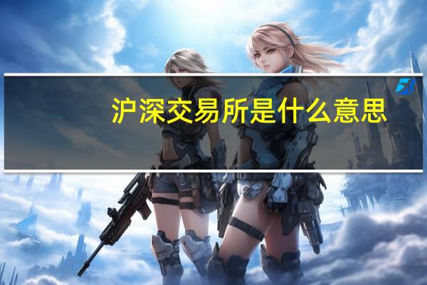 沪深交易所是什么意思