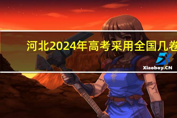 河北2024年高考采用全国几卷