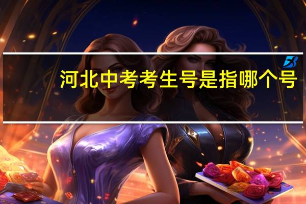 河北中考考生号是指哪个号