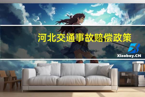 河北交通事故赔偿政策