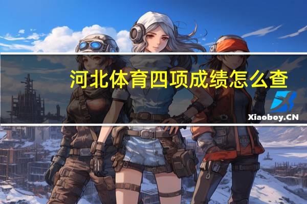 河北体育四项成绩怎么查
