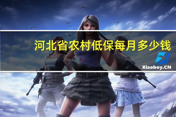 河北省农村低保每月多少钱
