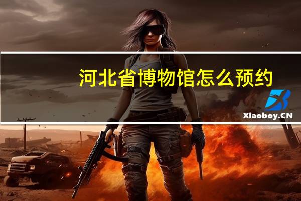 河北省博物馆怎么预约