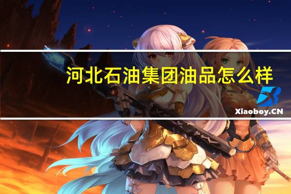 河北石油集团油品怎么样