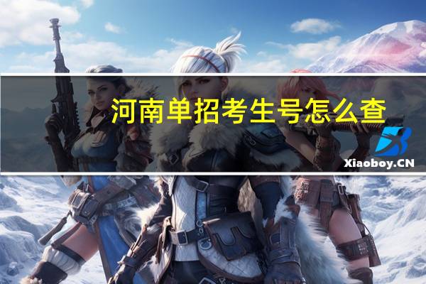 河南单招考生号怎么查