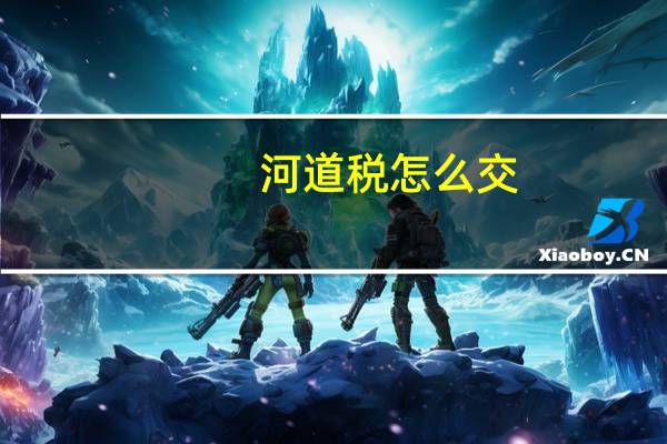 河道税怎么交