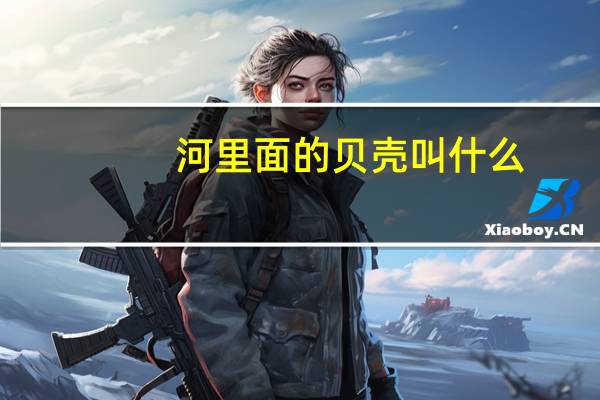 河里面的贝壳叫什么
