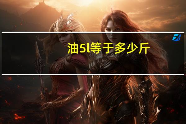 油5l等于多少斤