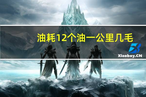 油耗12个油一公里几毛