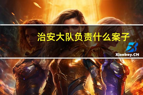 治安大队负责什么案子