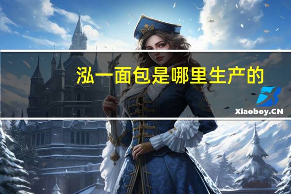 泓一面包是哪里生产的