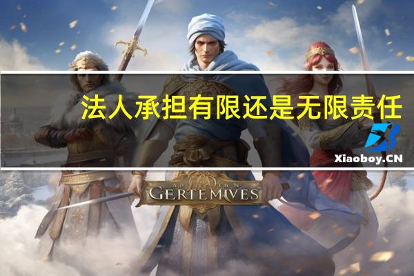 法人承担有限还是无限责任