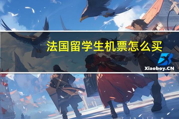 法国留学生机票怎么买