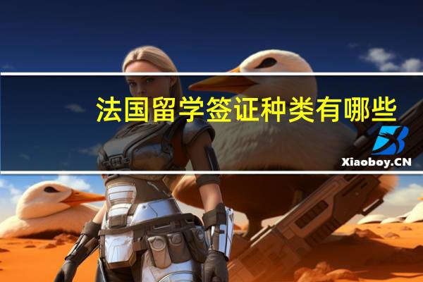 法国留学签证种类有哪些?