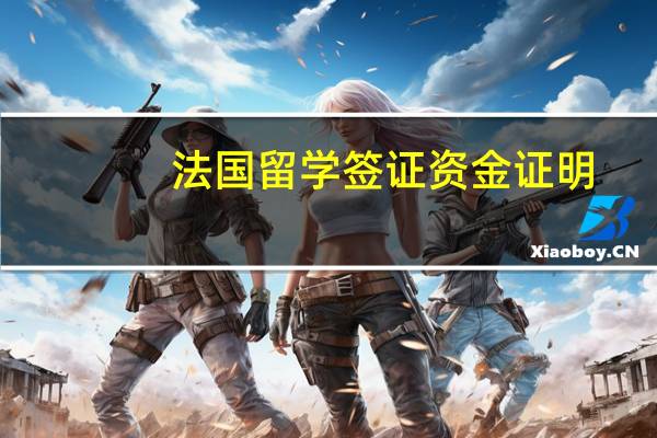 法国留学签证 资金证明