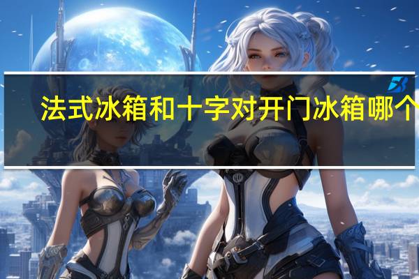 法式冰箱和十字对开门冰箱哪个好