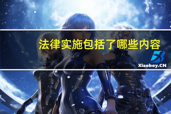 法律实施包括了哪些内容