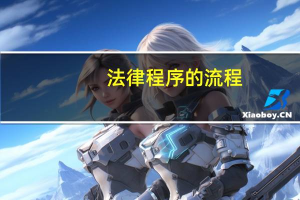 法律程序的流程