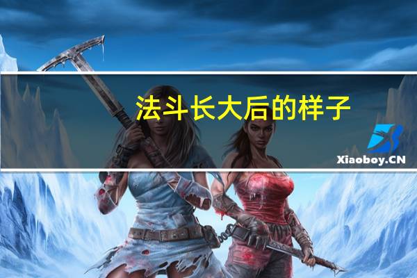法斗长大后的样子