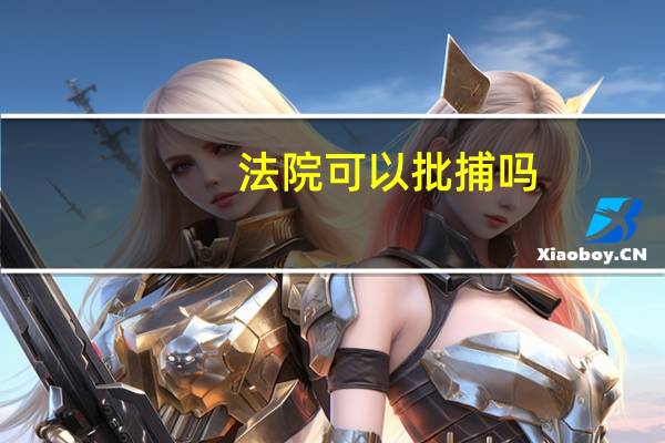 法院可以批捕吗