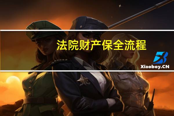 法院财产保全流程