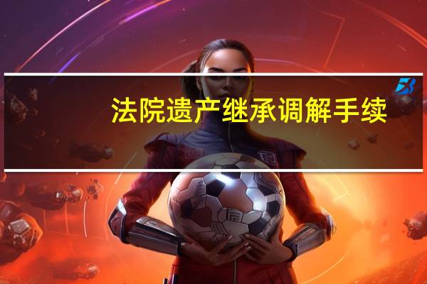 法院遗产继承调解手续