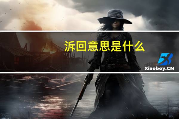 泝回意思是什么