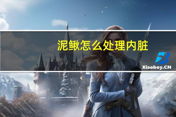 泥鳅怎么处理内脏
