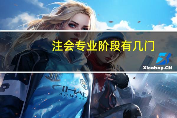 注会专业阶段有几门