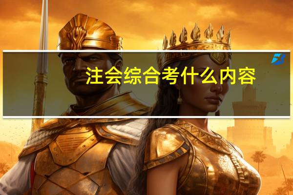 注会综合考什么内容