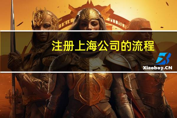 注册上海公司的流程