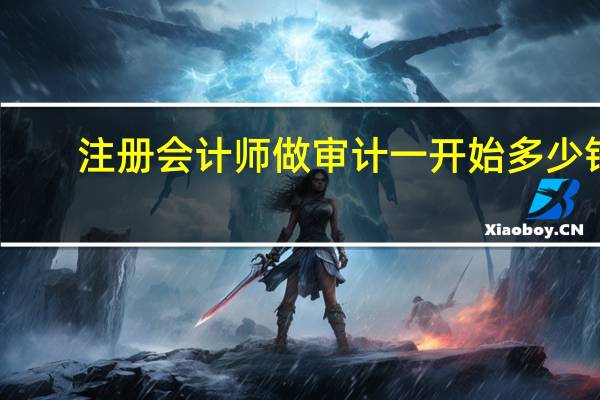 注册会计师做审计一开始多少钱