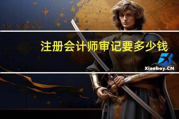 注册会计师审记要多少钱