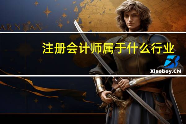 注册会计师属于什么行业