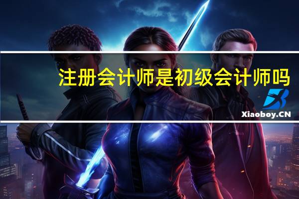 注册会计师是初级会计师吗