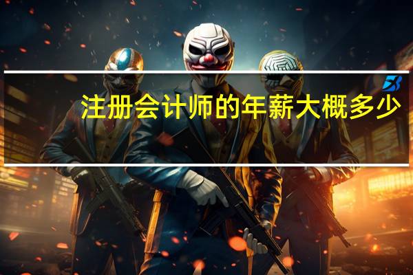 注册会计师的年薪大概多少