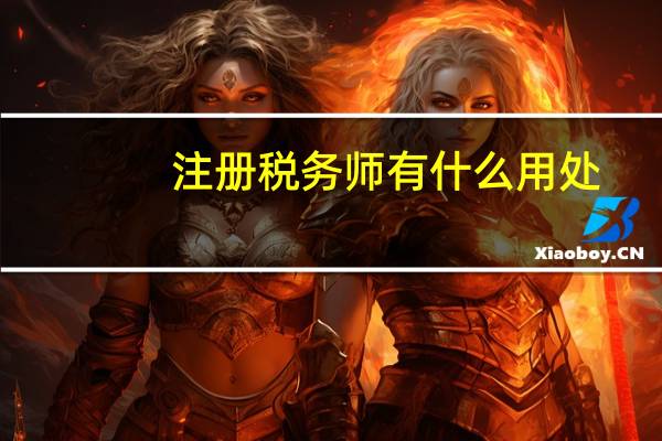 注册税务师有什么用处